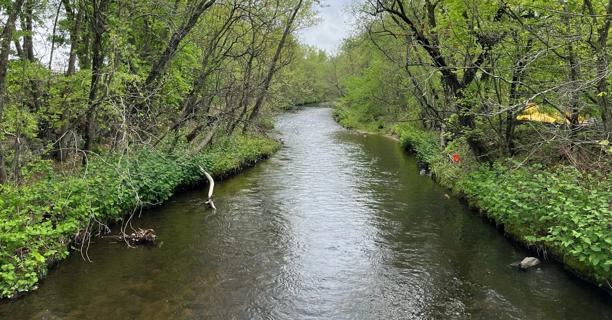 PRWA upcoming events