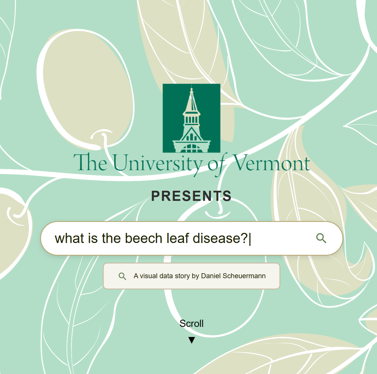 Beech Leaf Disease Preview
